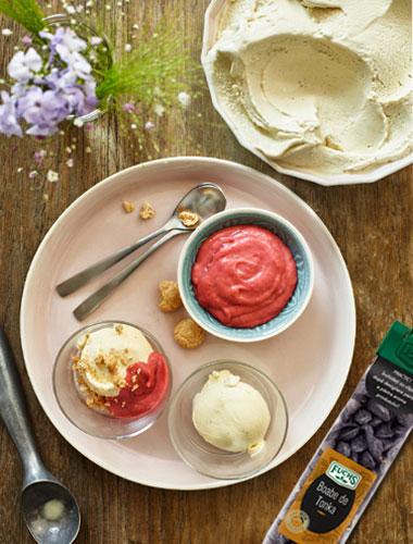 Înghețată cu cremă de rubarbă